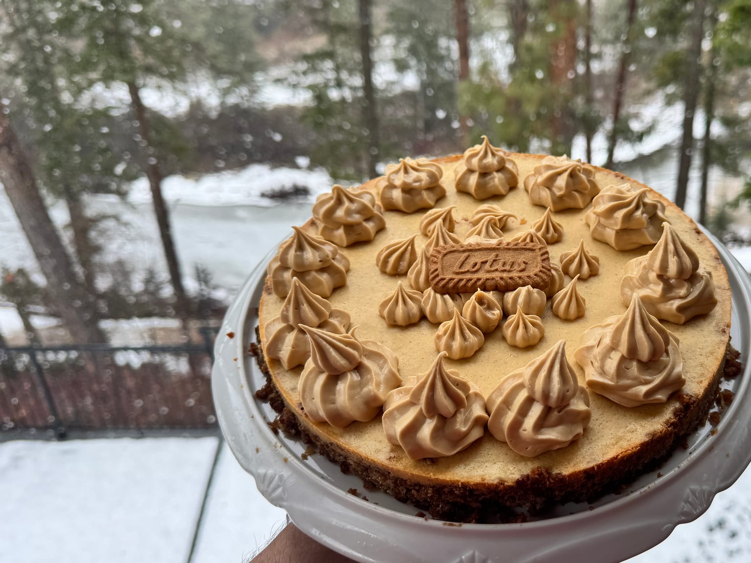 A whole Biscoff cheesecake on a white stand held up against snowy pines, ringed with piped caramel-coloured cream rosettes and a single Lotus biscuit in the centre