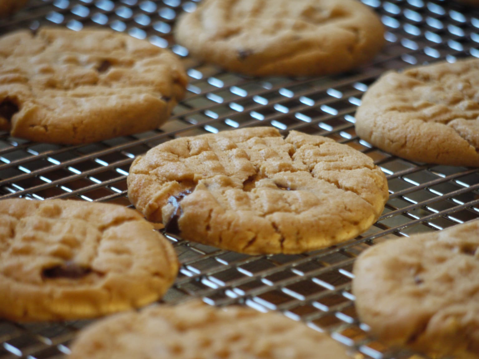 Peanut butter chocolate chip cookies arranged for serving